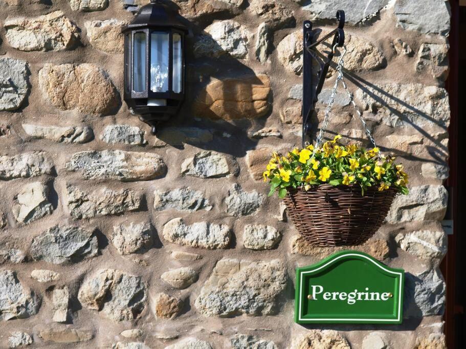 Peregrine Stable Cottage Llandovery Buitenkant foto